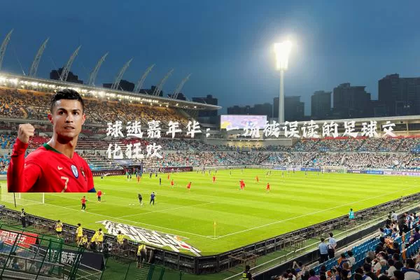 球迷嘉年华：一场被误读的足球文化狂欢